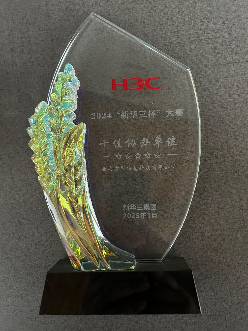 2023年新华三杯十佳协作单位